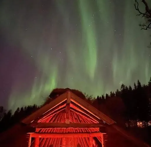 Sentral Naer Naturomrader *